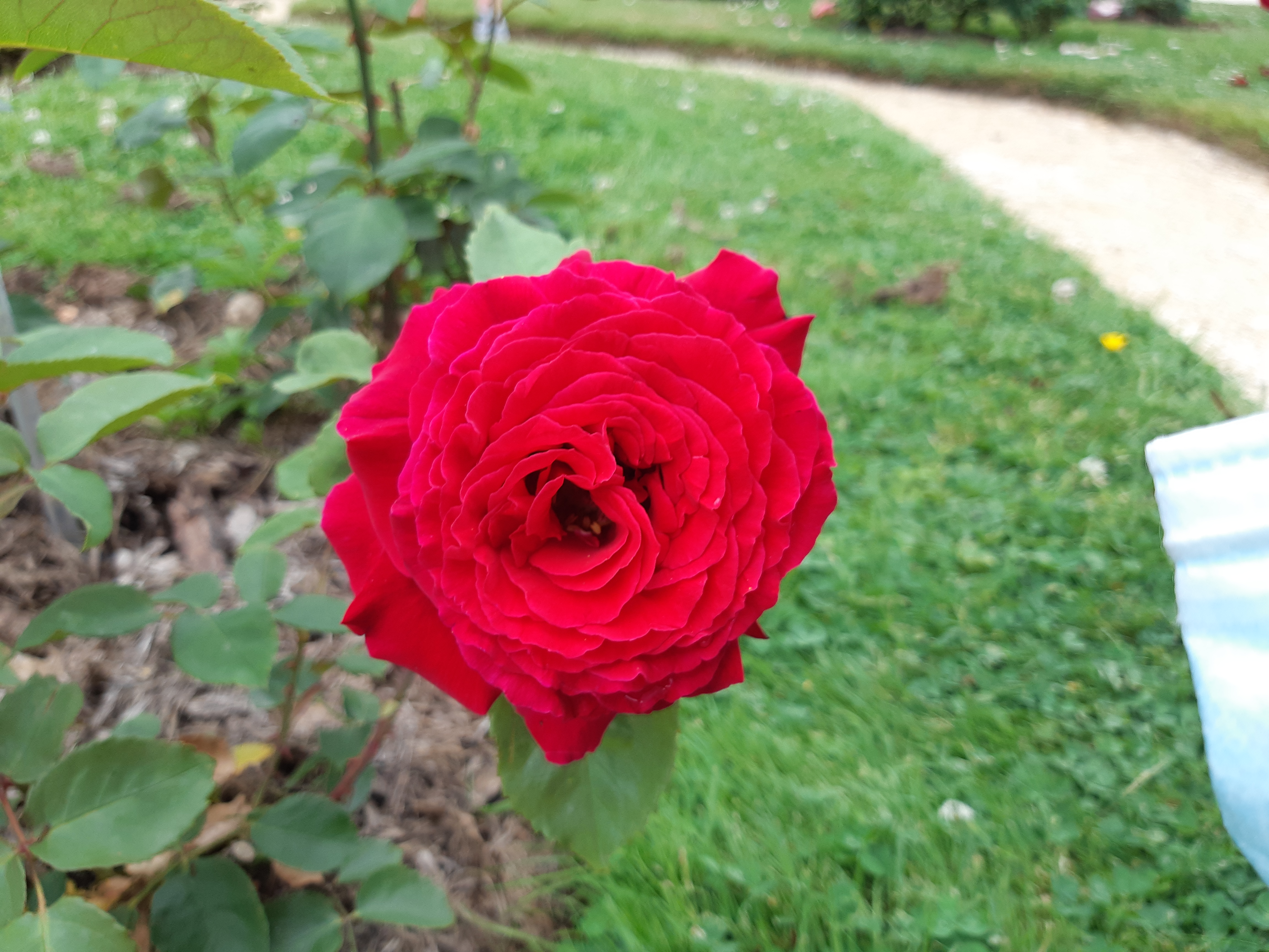 Photo n° 14 de l'avis de Adrien.a fait le 16/06/2021 à 16:36