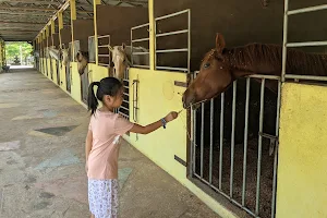 Countryside Stables Penang image