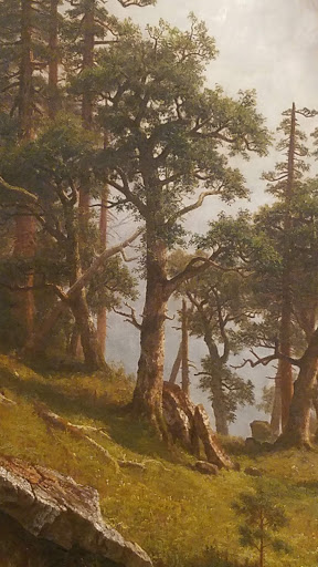 Art Museum «The Charles Hosmer Morse Museum of American Art», reviews and photos, 445 N Park Ave, Winter Park, FL 32789, USA