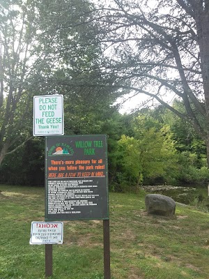 Willow tree park - photo 62