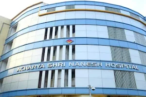 ACI Acharya Nanesh Hospital image
