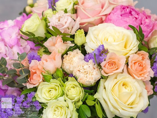 Florist «Phoebe Floral Shop», reviews and photos, 2102 Hamilton St, Allentown, PA 18104, USA