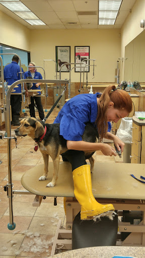 Pet Supply Store «PetSmart», reviews and photos, 11132 Abercorn St, Savannah, GA 31419, USA