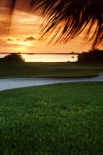 Tpc courses Cancun