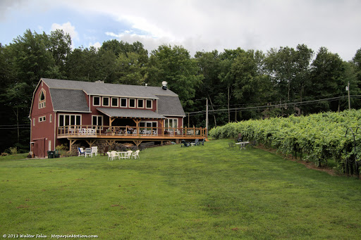 Vineyard «Lost Acres Vineyard», reviews and photos, 80 Lost Acres Rd, North Granby, CT 06060, USA