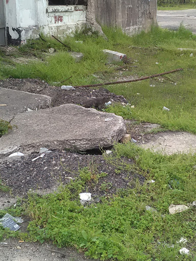 Soup Kitchen «Cathedral Kitchen», reviews and photos