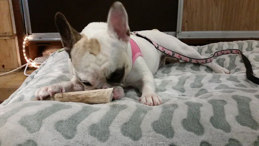 Pet Store «Next to Nature», reviews and photos, 4543 California Ave SW, Seattle, WA 98116, USA