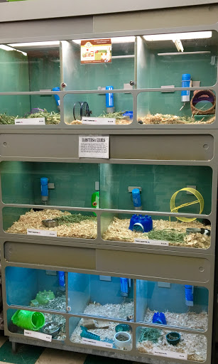 Pet Store «Sierra Fish and Pets», reviews and photos, 601 S Grady Way Suite M, Renton, WA 98057, USA