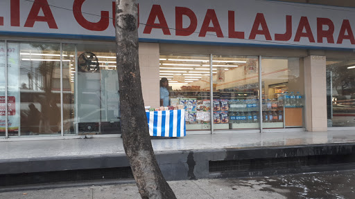 Farmacia Guadalajara Isidro Fabela