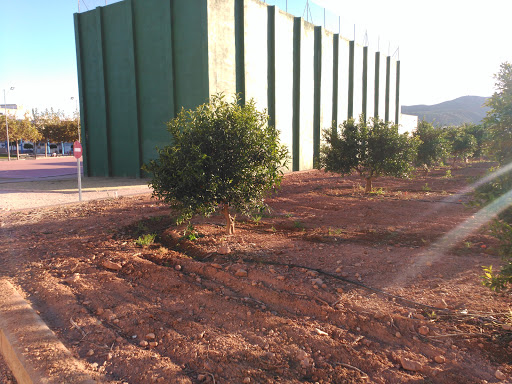 Cole Benavites, Escuela en Benavites,Valencia