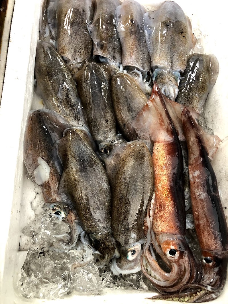 志浦鮮魚店
