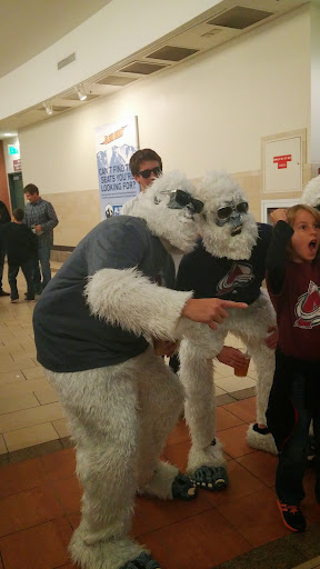 Ice Hockey Club «Colorado Avalanche», reviews and photos, 1000 Chopper Cir, Denver, CO 80204, USA