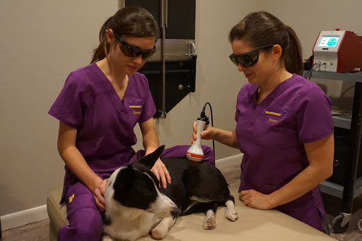 Trinity Veterinary Hospital image