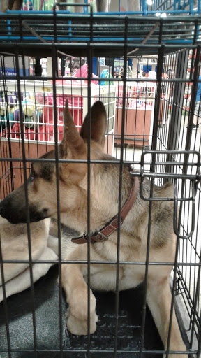 Pet Supply Store «PetSmart», reviews and photos, 1836 Joe Battle Blvd, El Paso, TX 79936, USA