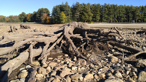 State Park «Hopkinton State Park», reviews and photos, 164 Cedar St, Hopkinton, MA 01748, USA