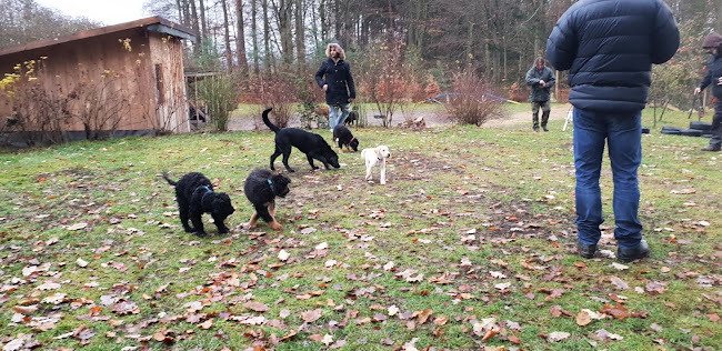 Hundeschule Bayerischer Wald Ihre Hundeschule für Straubing Bogen und Umgebung. - Sitten