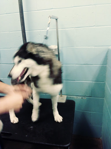 Pet Store «Feeders Supply», reviews and photos, 4921 Dixie Hwy a, Louisville, KY 40216, USA