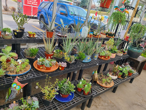 Hardware Store «Ace Hdwe Highlands Ranch», reviews and photos, 9579 S University Blvd Ste 100, Highlands Ranch, CO 80126, USA