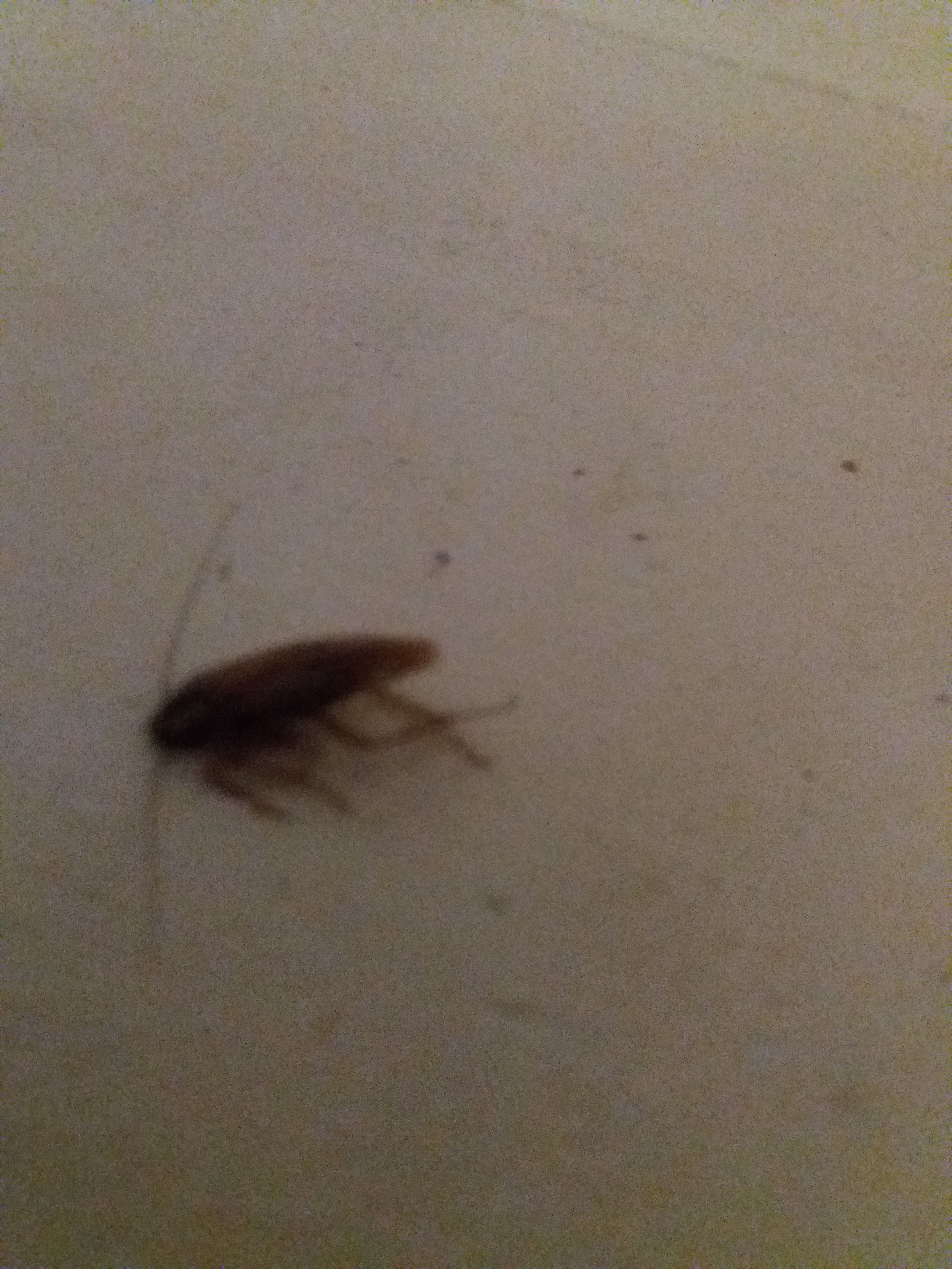 Photo n° 19 de l'avis de L'.n fait le 01/07/2018 à 12:27