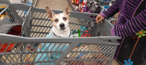 Pet Supply Store «Petco Animal Supplies», reviews and photos, 1419 Towne Square Blvd NW, Roanoke, VA 24019, USA