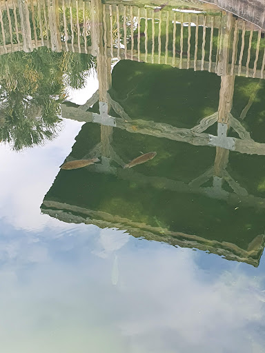 Park «Wall Springs Park», reviews and photos, 3725 Desoto Blvd, Palm Harbor, FL 34683, USA