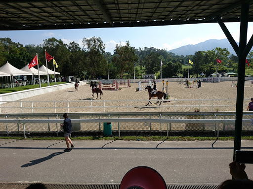 Horse riding schools Hong Kong