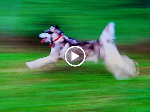 Auto Parts Store «NAPA Auto Parts - GJT Auto Parts», reviews and photos, 1340 Greensboro Hwy, Watkinsville, GA 30677, USA