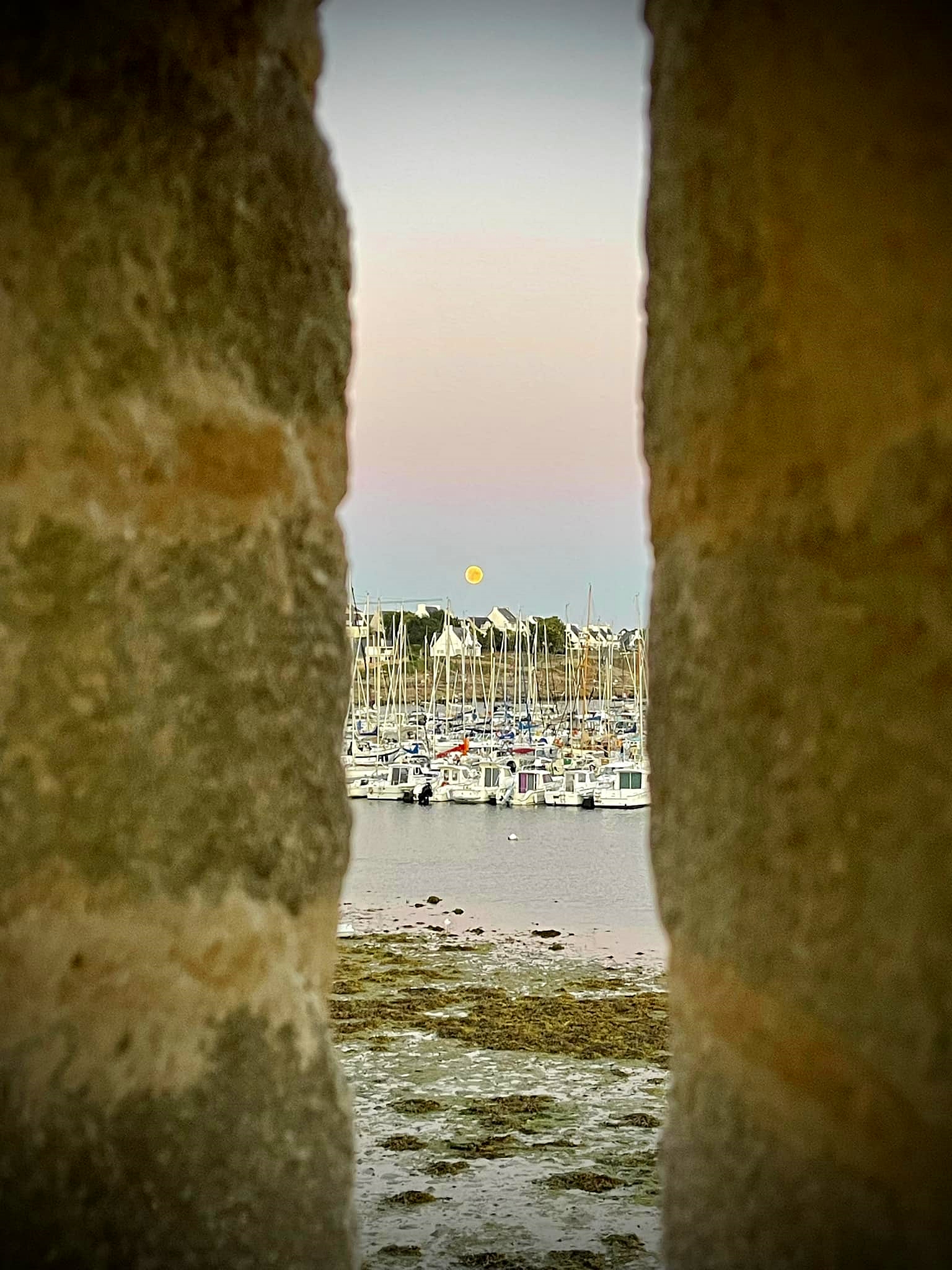 Photo n° 16 de l'avis de Gérard.e fait le 10/09/2022 à 20:00