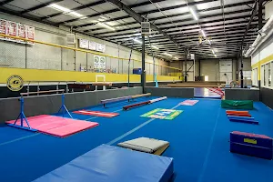 Jonesboro Gymnastics Academy image