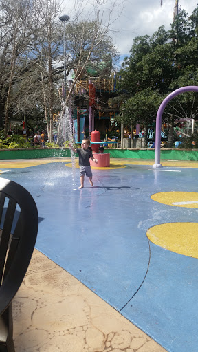 Performing Arts Theater «Pantopia Theater», reviews and photos, 3000 E Busch Blvd, Tampa, FL 33612, USA