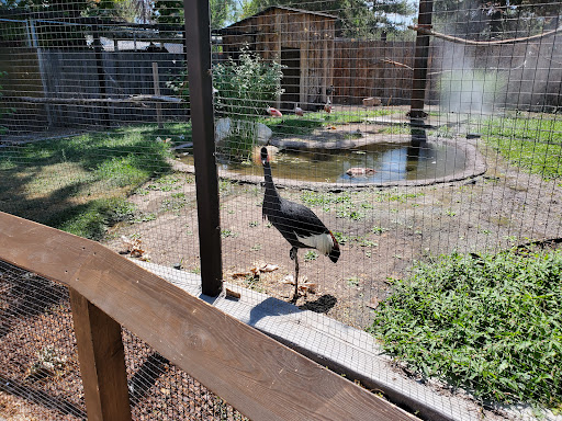 Tourist Attraction «Tracy Aviary», reviews and photos, 589 1300 S, Salt Lake City, UT 84105, USA