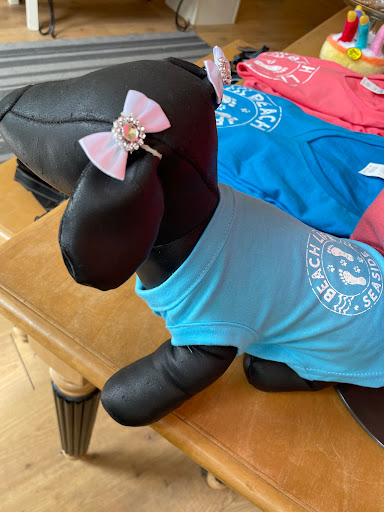 Pet Supply Store «Beach Puppy», reviews and photos, 614 Broadway St, Seaside, OR 97138, USA