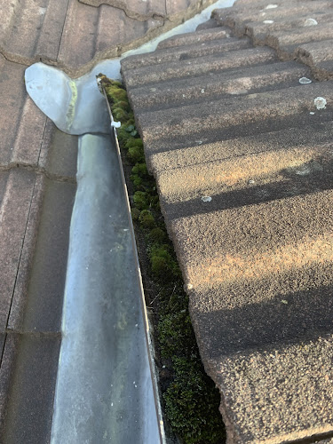 Reviews of Gutter Ninja in Leicester - House cleaning service