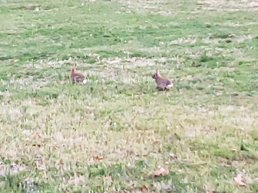 Memorial Park «Ox Hill Battlefield Park», reviews and photos, 4134 West Ox Rd, Fairfax, VA 22033, USA