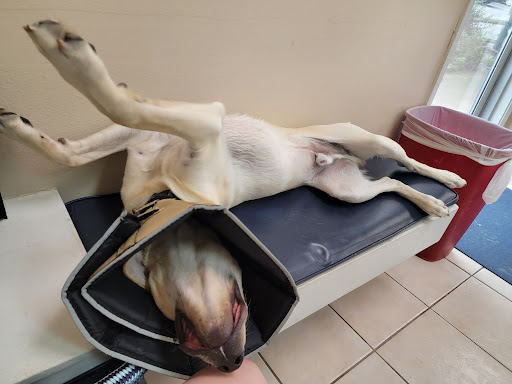 212 Government Ave, Niceville, FL 32578, USA