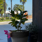 Photo n°2 de l'avis de Juan.l fait le 28/09/2023 à 10:32 sur le  TEN café à Castelfidardo