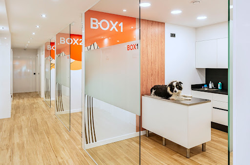 Centro Veterinario Can Vet Urgencias 24 H. en Lloret de Mar