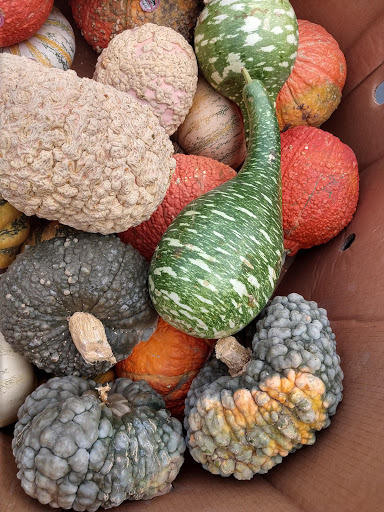 Shopping Mall «Fairway Park Shopping Center», reviews and photos, 31109 Mission Blvd, Hayward, CA 94544, USA