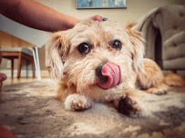 Kairos Wellness Collective - Photo 9 - Car repair in Boulder, CO, Boulder