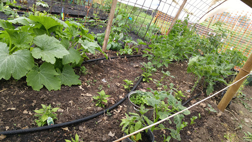 Park «Gamebird Park», reviews and photos, 1500 Mallard Ave, Springfield, OR 97477, USA