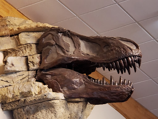 Museum «Creation Evidence Museum», reviews and photos, 3102 FM 205, Glen Rose, TX 76043, USA