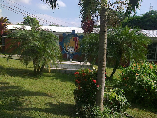 Colegios publicos en San Pedro Sula
