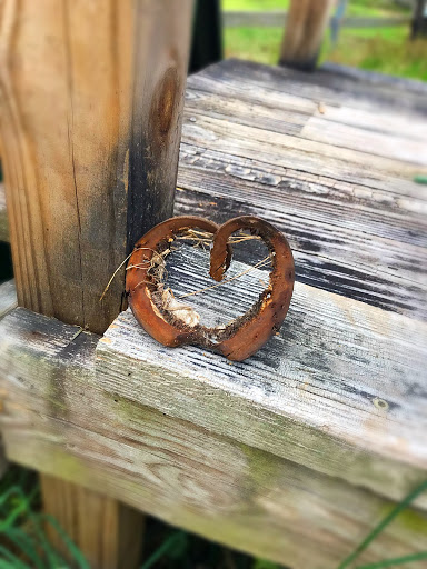 Carriage Ride Service «Sea Island Carriage Company», reviews and photos, 930 Bay St, Beaufort, SC 29902, USA