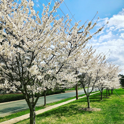 Golf Club «The Tradition Golf Club», reviews and photos, 3800 Prosperity Church Rd, Charlotte, NC 28269, USA