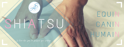 Audrey Shiatsu à Metz