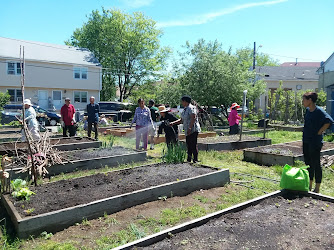 Franklin Court Garden