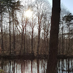 Photo n°1 de l'avis de Susanne.a fait le 02/03/2022 à 01:59 sur le  Wald-Cafe Landhotel Restaurant à Bonn