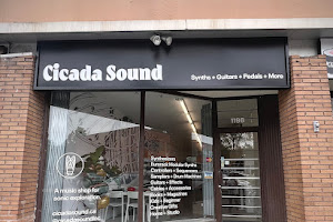 Cicada Sound