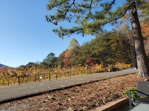 Winery «Sharp Mountain Vineyards», reviews and photos, 110 Rathgeb Trail, Jasper, GA 30143, USA