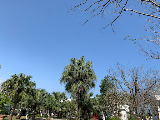 Top 10 cửa hàng đồ gỗ Huyện Đảo Cồn cỏ Quảng Trị 2022